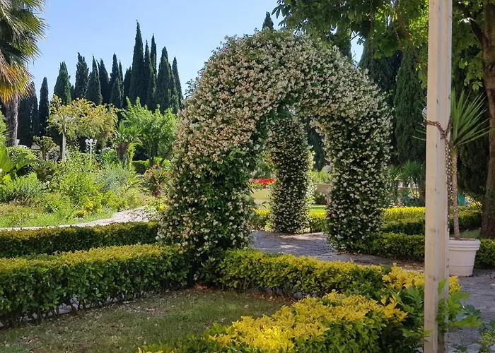 Oasis *
