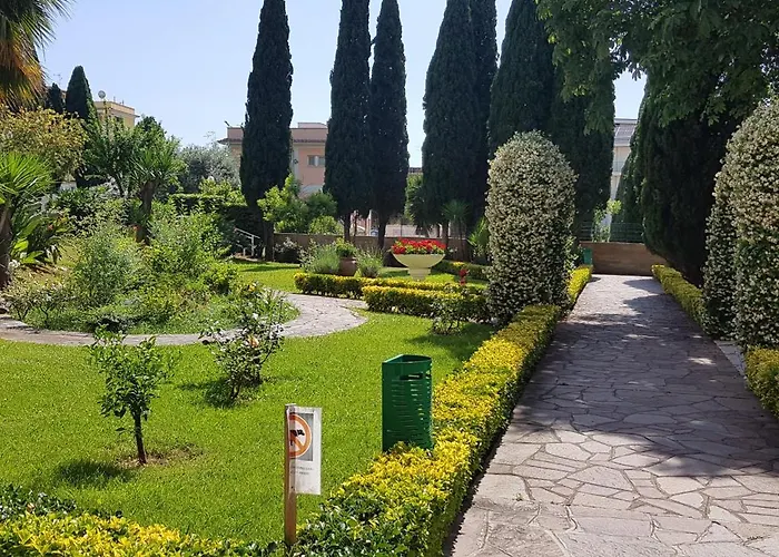 Oasis